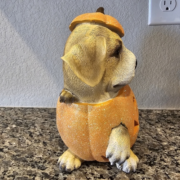 Very Cute Puppy in a Jack-o-Lantern - Excellent Condition - Picture 3 of 5
